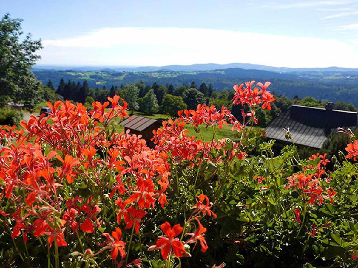 Pension Draxlerhof Neuschönau المظهر الخارجي الصورة