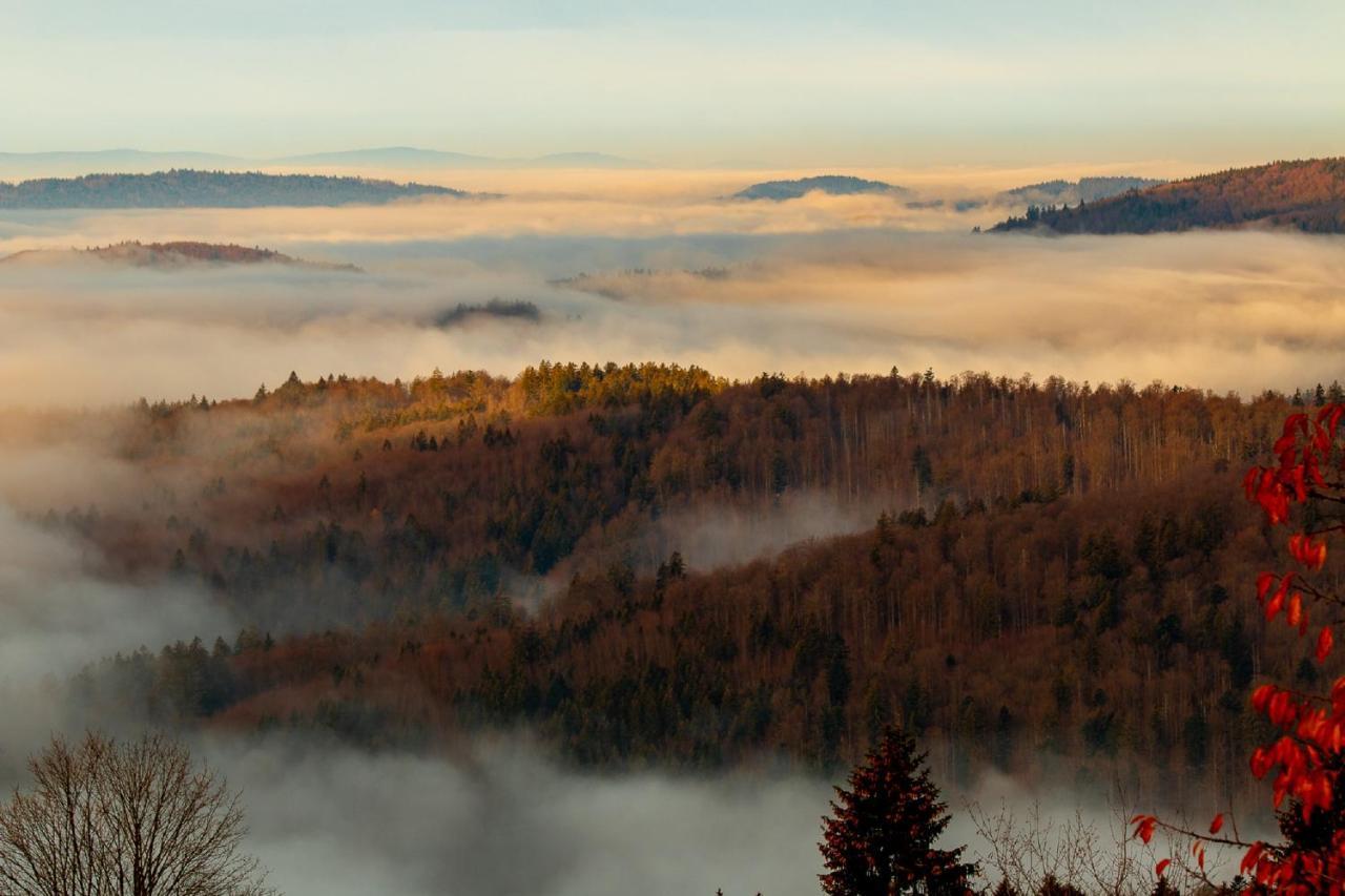 Pension Draxlerhof Neuschönau المظهر الخارجي الصورة