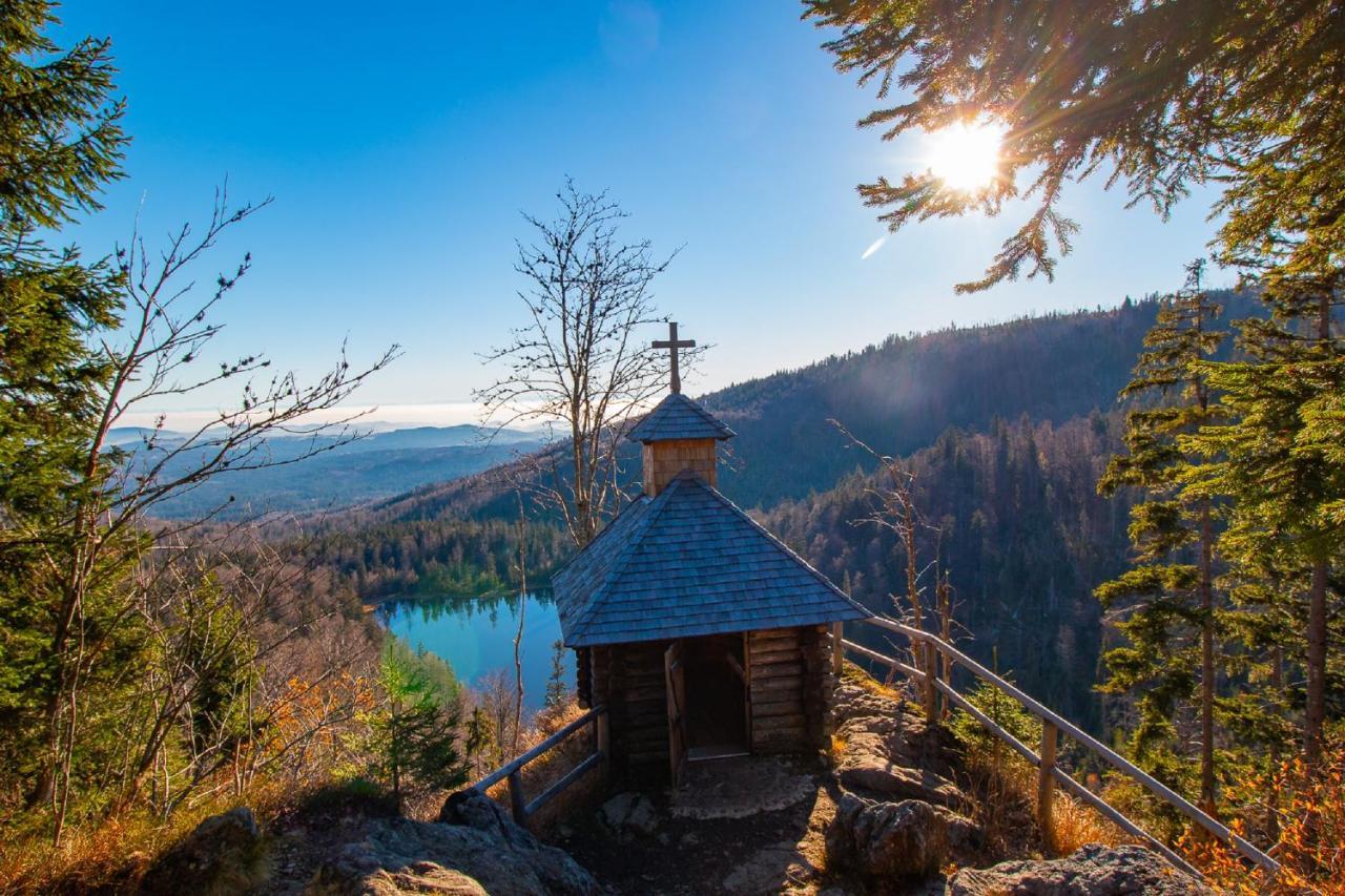 Pension Draxlerhof Neuschönau المظهر الخارجي الصورة