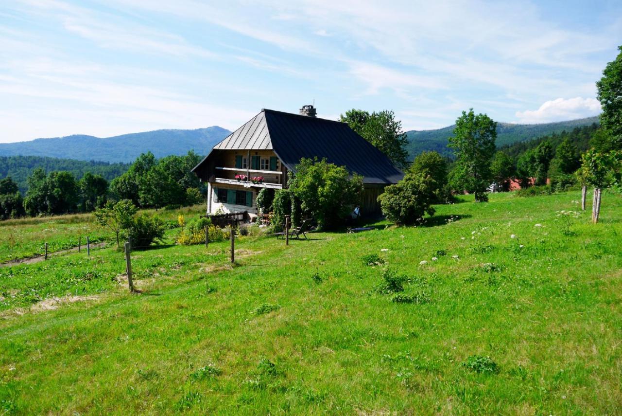 Pension Draxlerhof Neuschönau المظهر الخارجي الصورة