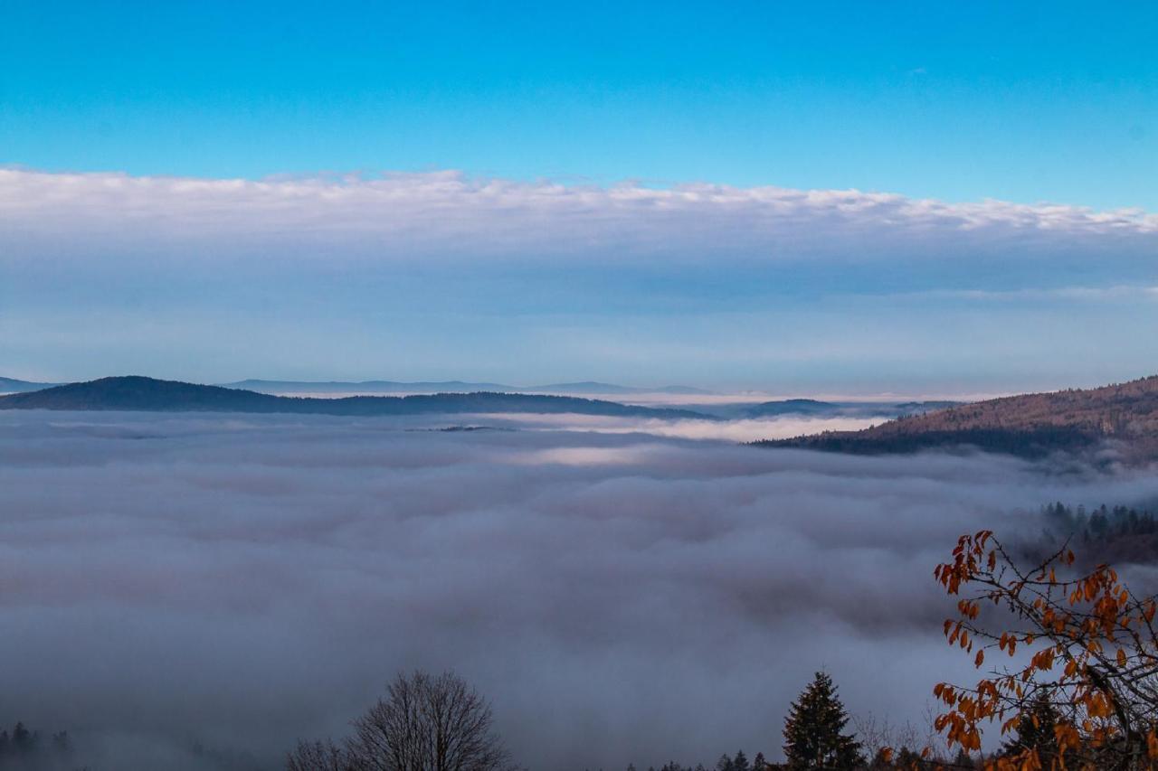 Pension Draxlerhof Neuschönau المظهر الخارجي الصورة
